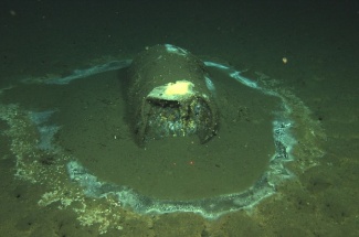 DDT Dump Site in the Pacific