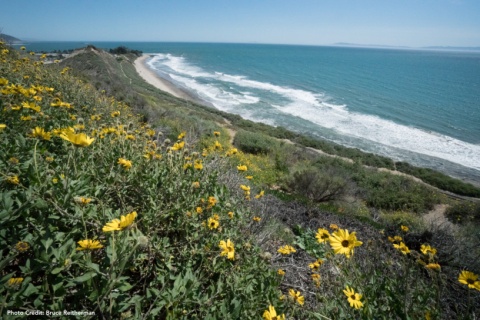 Rincon Bluffs