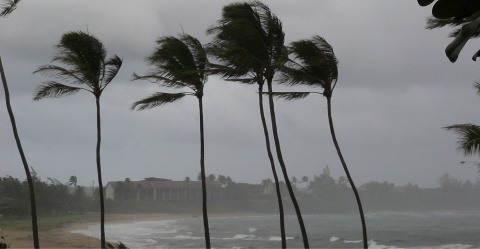 The El Niño Southern Oscillation influences weather patterns across the world.